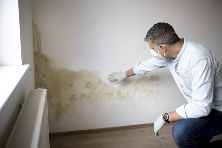rising damp islington